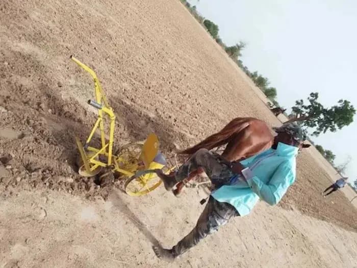 🌟村を支援する力:Dots forの農村地域への技術サポート🌟